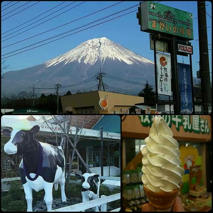 まかいの牧場