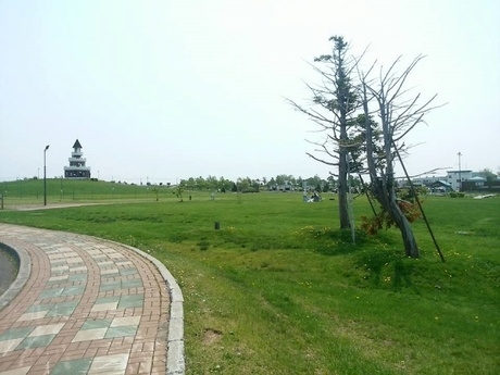 しのつ公園キャンプ場のキャンプサイト