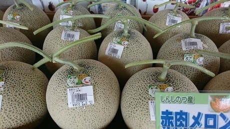 しんしのつ産のメロン