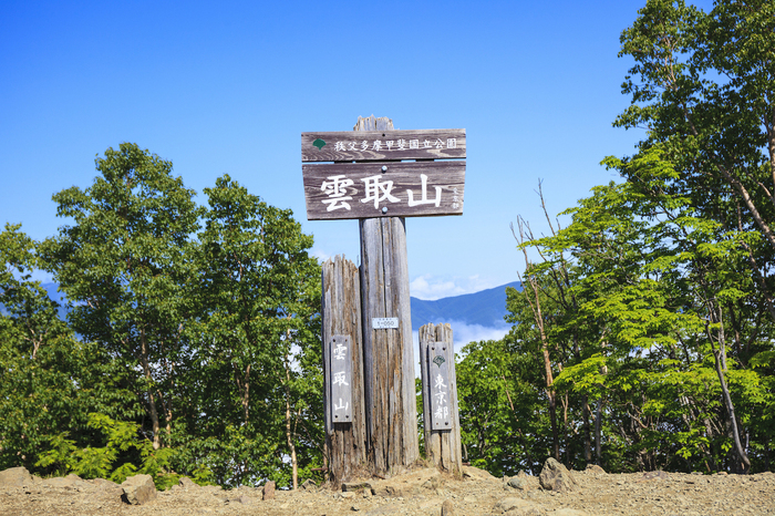 雲取山の風景