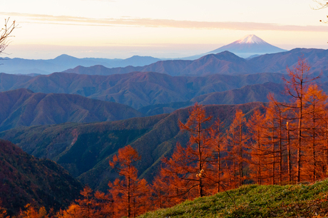 雲取山からの風景