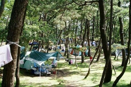 西浜コテージ村・キャンプ場