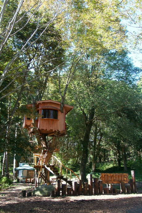 ホウリー・ウッズ久留里キャンプ村