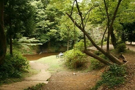 柿山田オートキャンプガーデンの風景