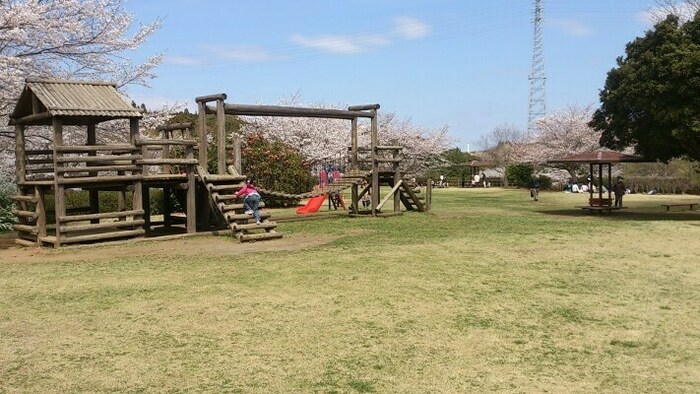 四街道総合公園の風景