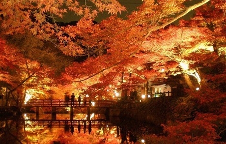 岩屋堂公園