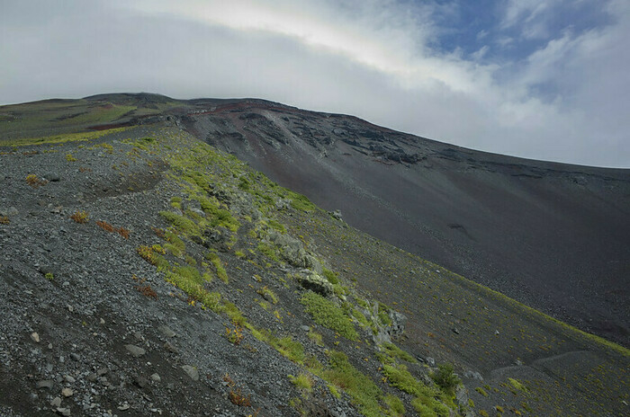 富士山