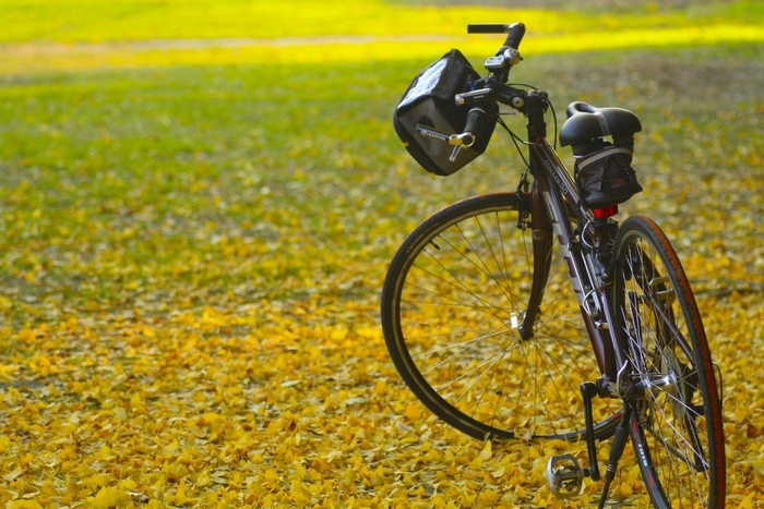 イチョウと自転車