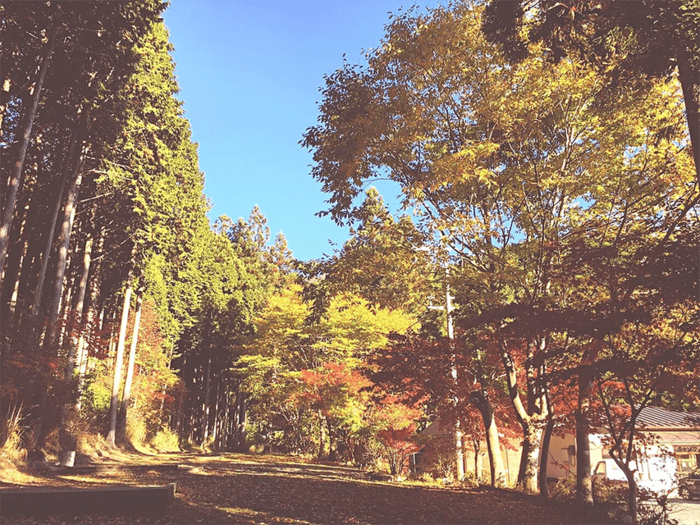 洞川キャンプ場の風景