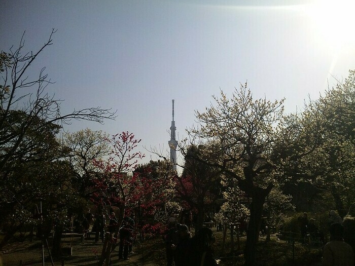 向島百花園