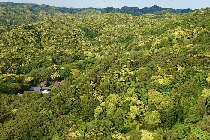 鋸山