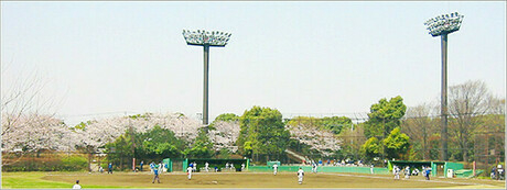 大井ふ頭中央海浜公園