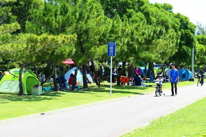 沖縄県総合運動公園オートキャンプ場