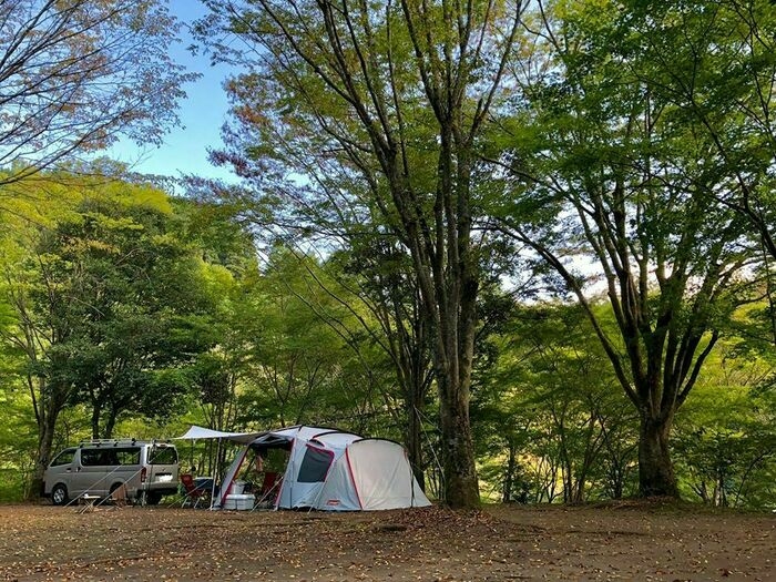 ゆうすい自然の森キャンプ場