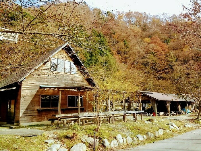 森の前にあるコテージ