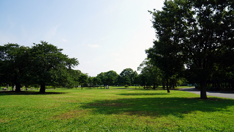 篠崎公園