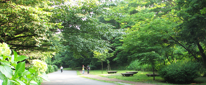 小山内裏公園