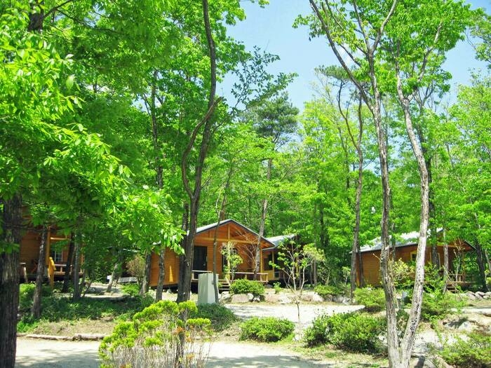 メープル那須高原キャンプグランドの風景