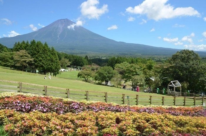 まかいの牧場と富士山