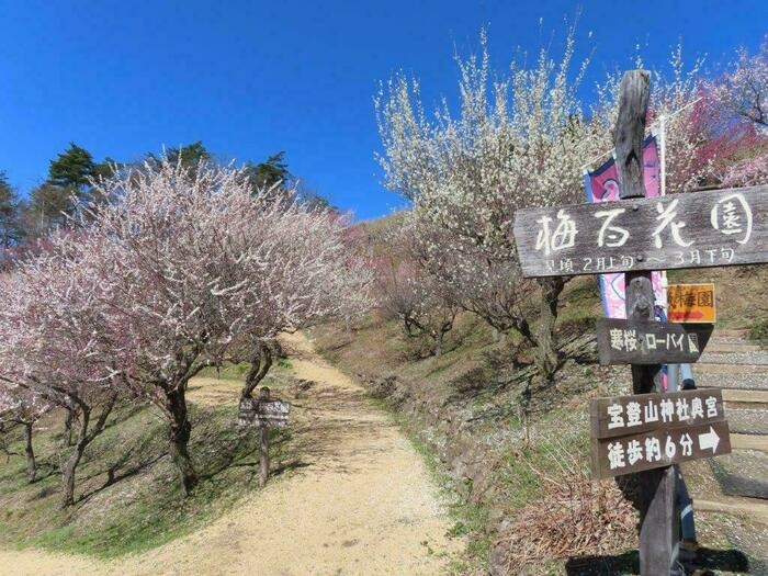 梅百花園