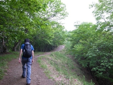 川苔山