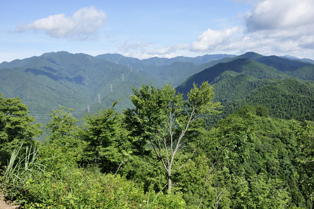 川苔山