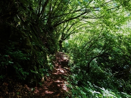 川苔山