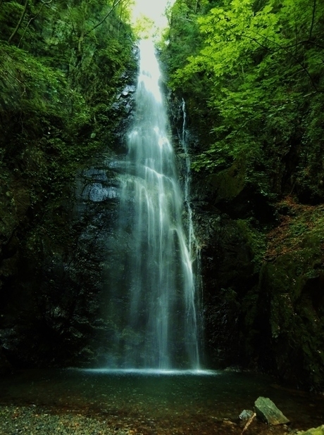 川苔山