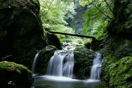 川苔山