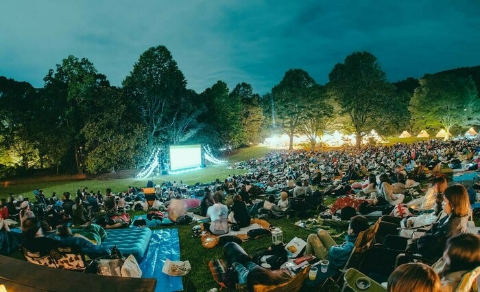 夜空と交差する森の映画祭の例年の様子