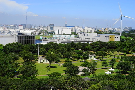 若洲公園のキャンプ場
