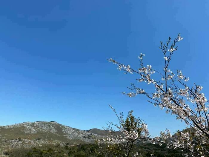 平尾台自然の郷