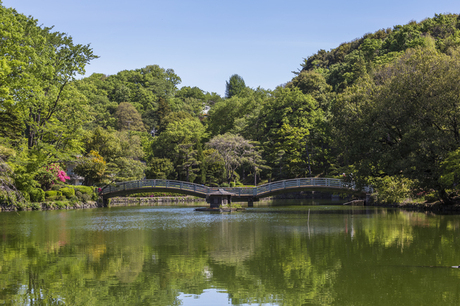 町田市の薬師池公園