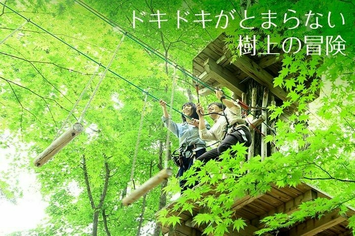 北軽井沢スウィートグラス
