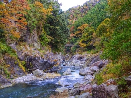 奥多摩の紅葉