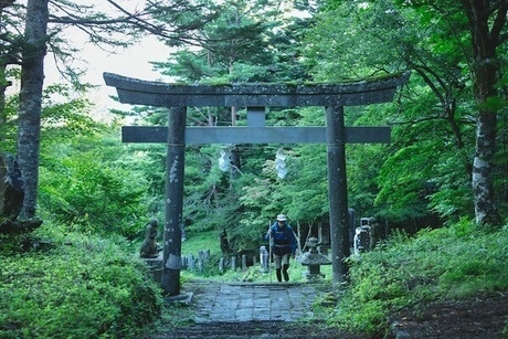 鳥居の下を通る男性