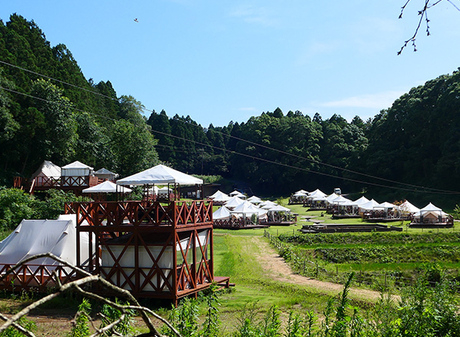 THE FARM