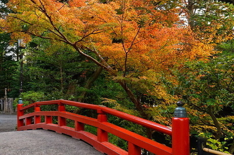 鶴岡八幡宮