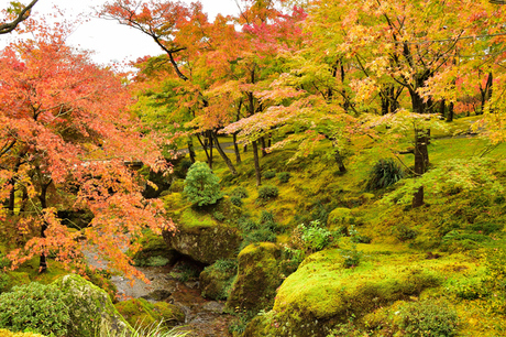 箱根美術館の紅葉
