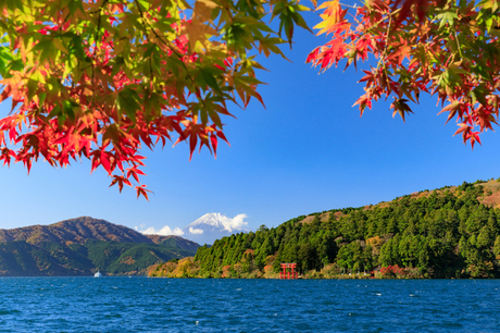 芦ノ湖の紅葉