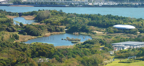 葛西臨海公園の鳥類園