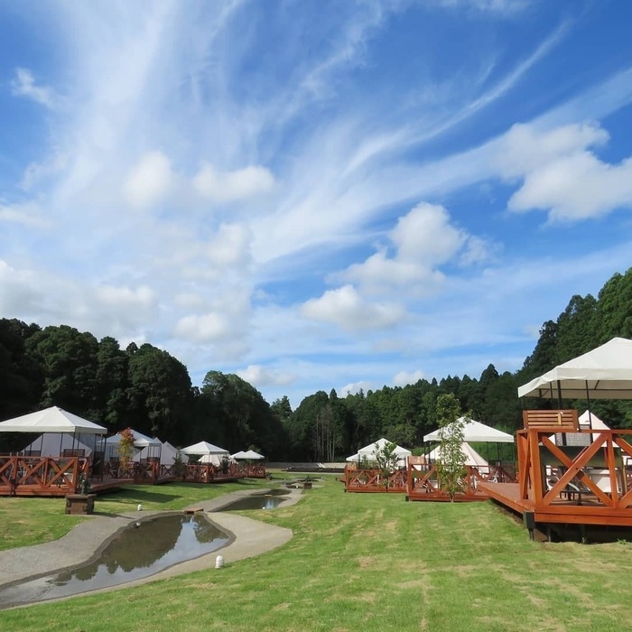 The Farmの様子