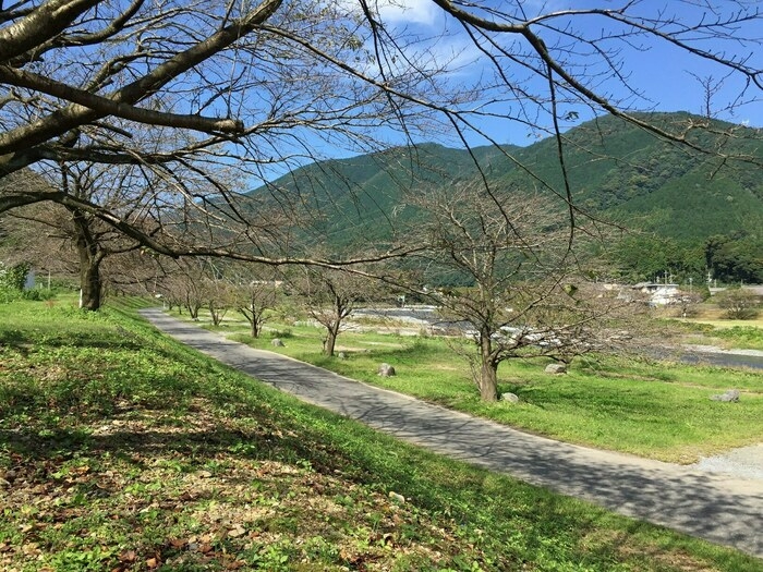 粕川オートキャンプ場の風景
