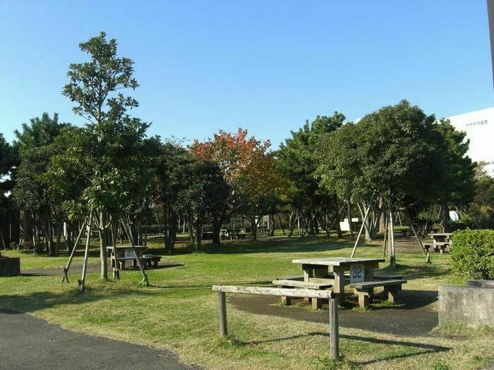 城南島海浜公園のキャンプサイト