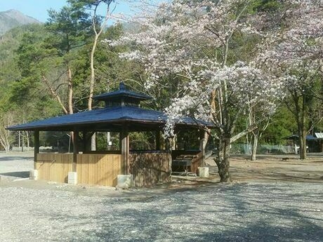 桜の木と青い屋根の炊事場