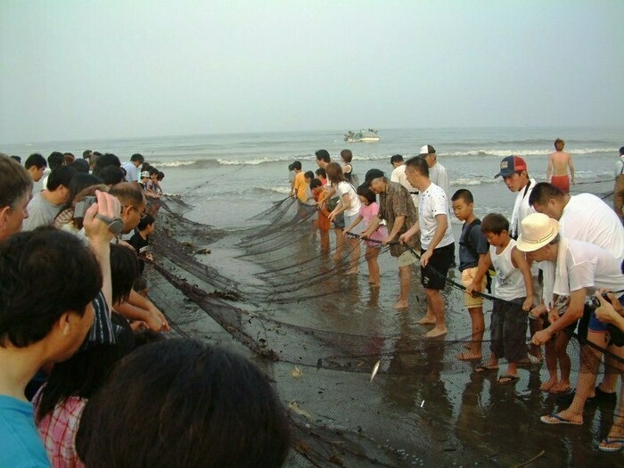 地引網漁の様子
