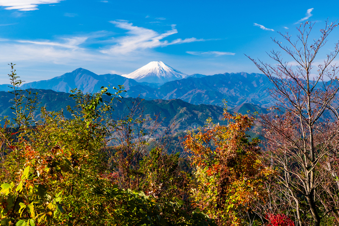 もみじ台からの富士山の眺め