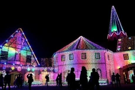東京ドイツ村