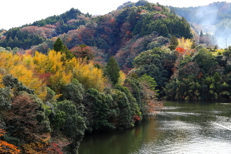 亀山湖の紅葉