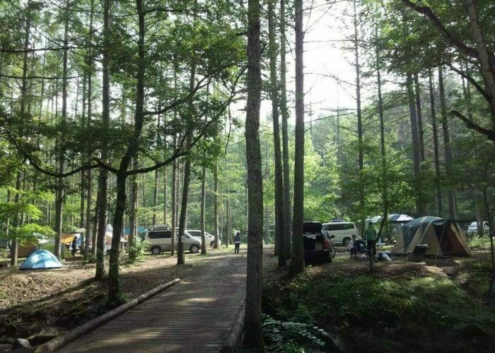 林間に点在するテントと車